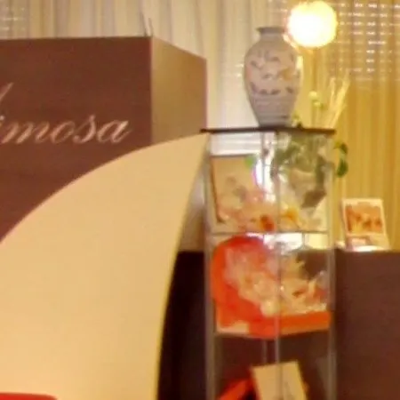 Mimosa Hotel 3*