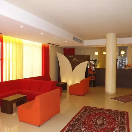 Mimosa Hotel Bellaria-Igea Marina